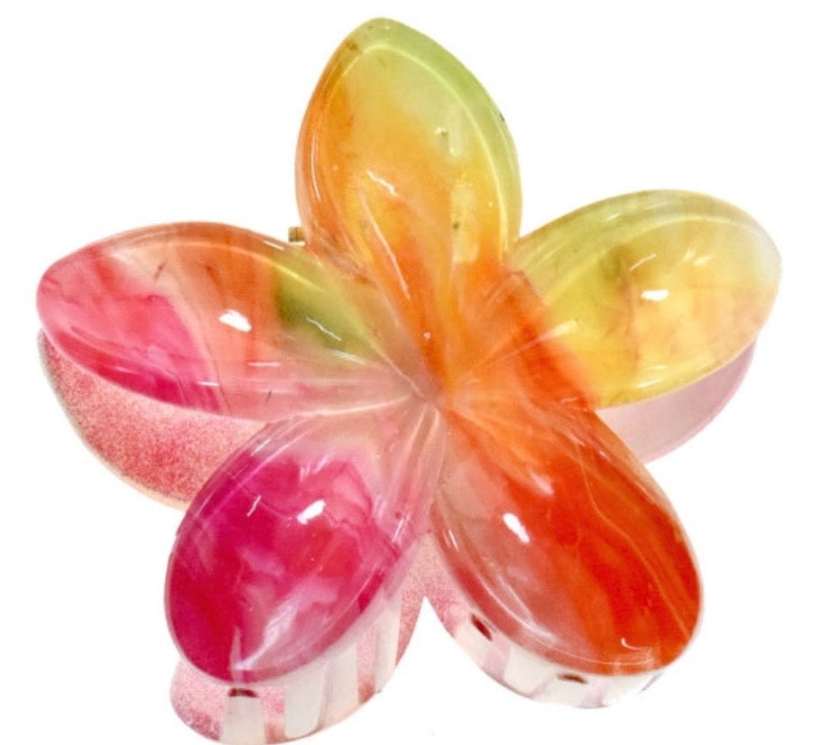 Flower Rainbow Plumeria Hair Clip