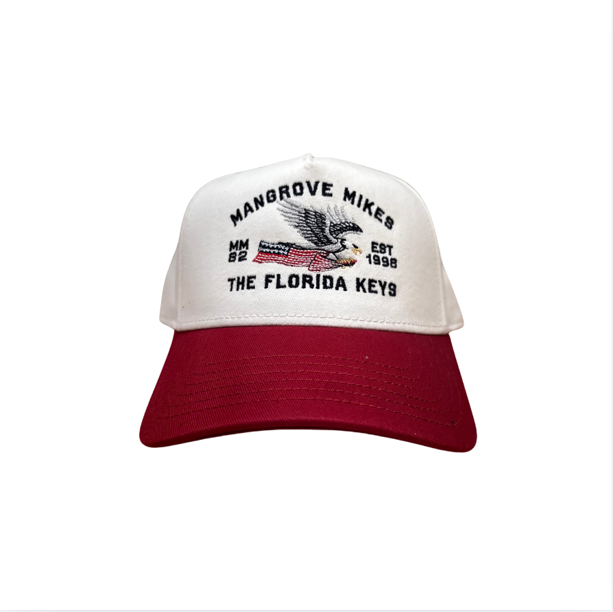 American Eagle Trucker Hat